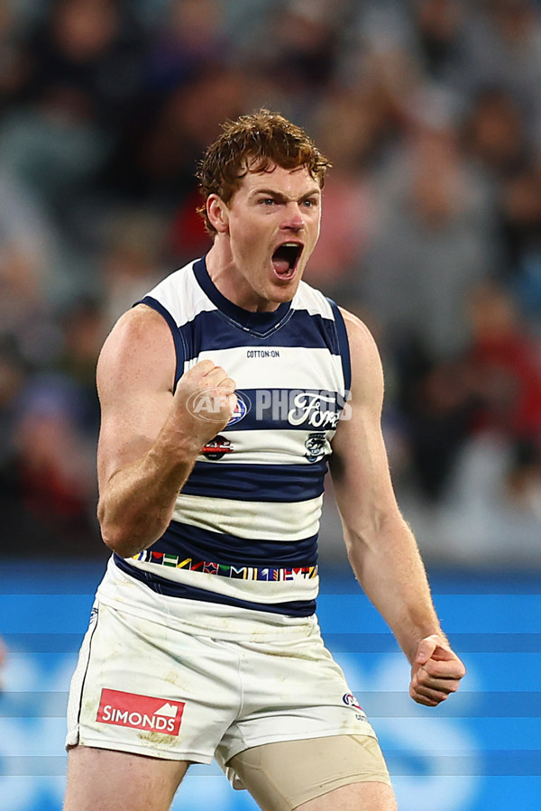AFL 2024 Round 16 - Geelong v Essendon - A-51462083