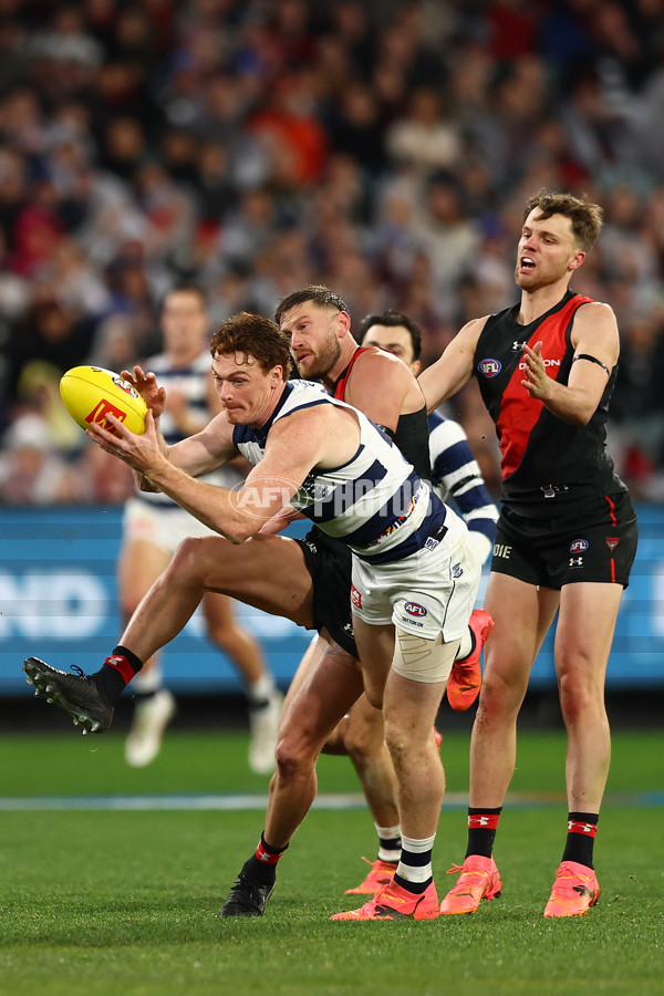 AFL 2024 Round 16 - Geelong v Essendon - A-51462086