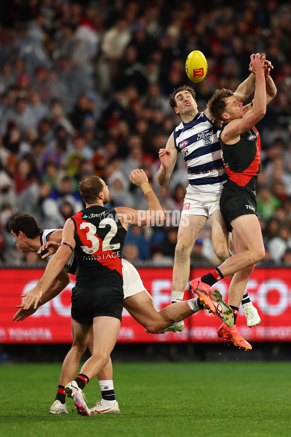 AFL 2024 Round 16 - Geelong v Essendon - A-51462098