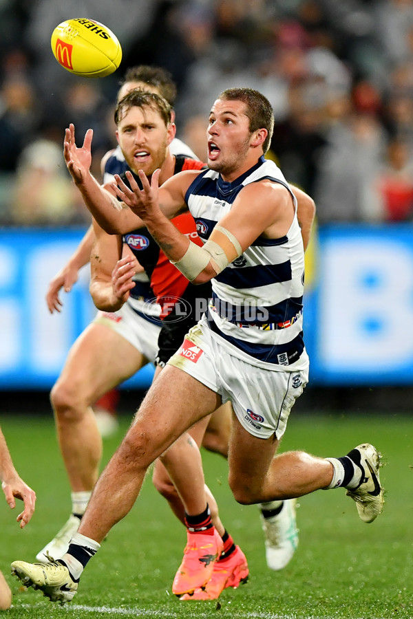 AFL 2024 Round 16 - Geelong v Essendon - A-51464327