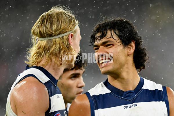 AFL 2024 Round 16 - Geelong v Essendon - A-51469346