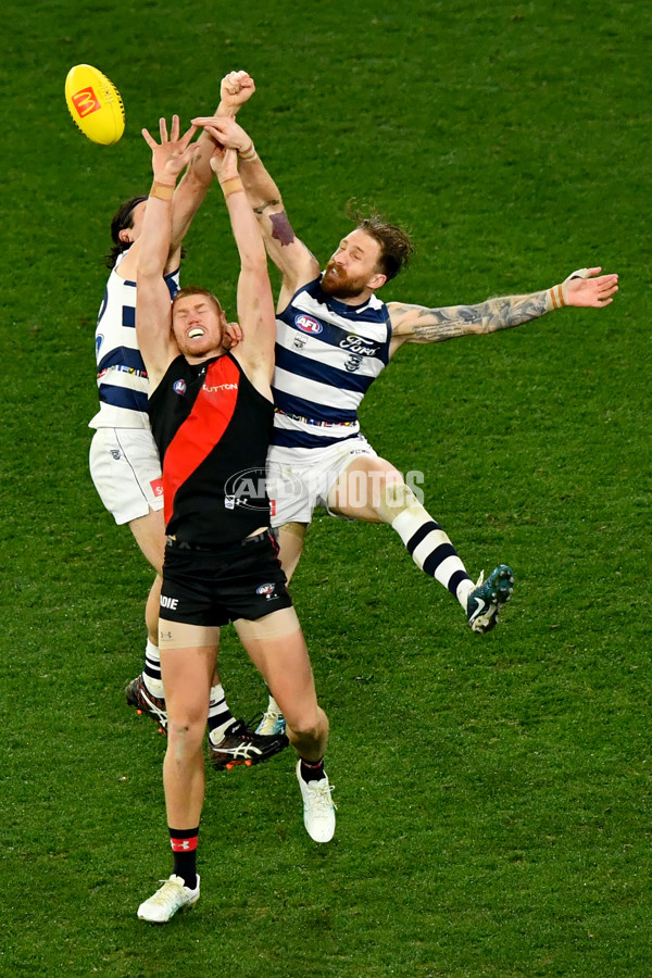AFL 2024 Round 16 - Geelong v Essendon - A-51469357
