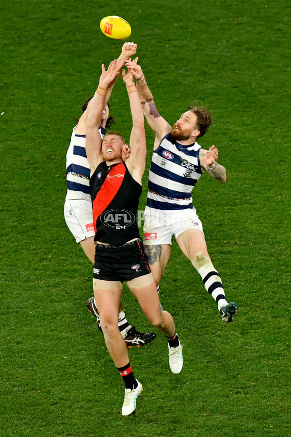 AFL 2024 Round 16 - Geelong v Essendon - A-51469536