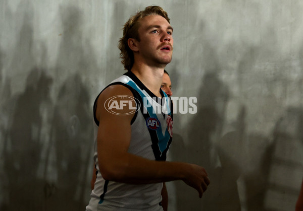 AFL 2024 Round 16 - St Kilda v Port Adelaide - A-51472000