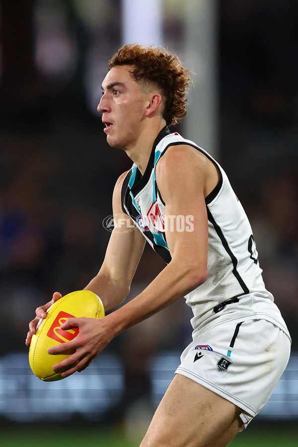 AFL 2024 Round 16 - St Kilda v Port Adelaide - A-51477442