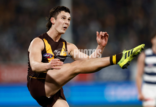 AFL 2024 Round 17 - Geelong v Hawthorn - A-51642027