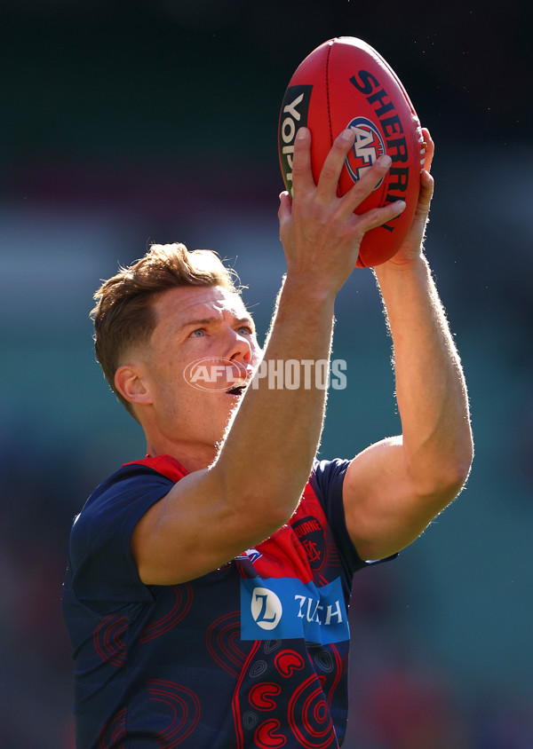 AFL 2024 Round 17 - Melbourne v West Coast - A-51669129