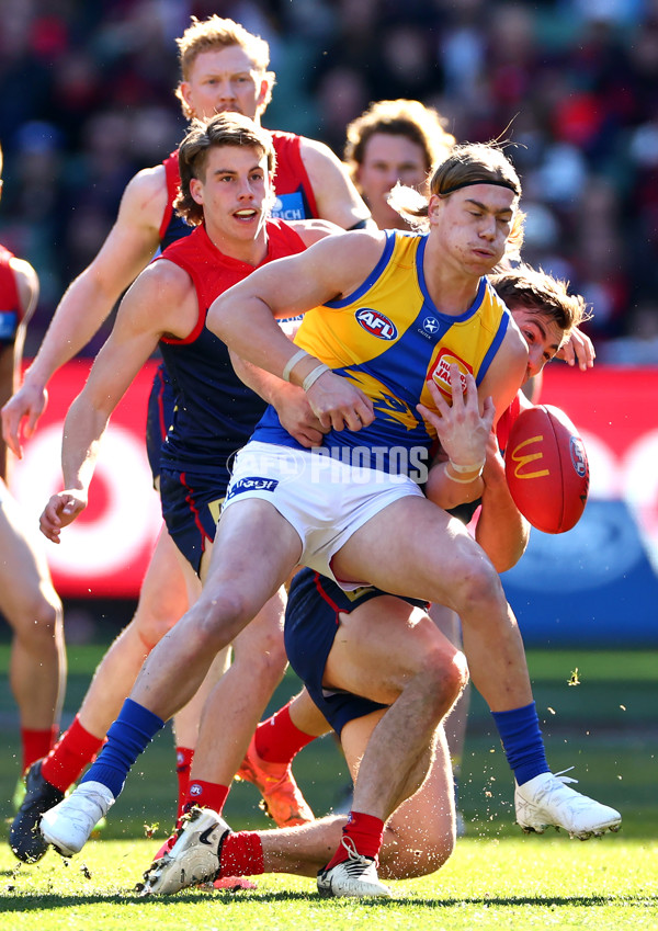 AFL 2024 Round 17 - Melbourne v West Coast - A-51672173