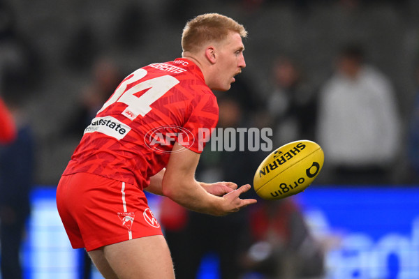 AFL 2024 Round 17 - St Kilda v Sydney - A-51677993
