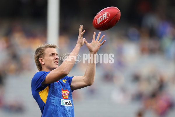 AFL 2024 Round 18 - West Coast v Brisbane - A-51849741