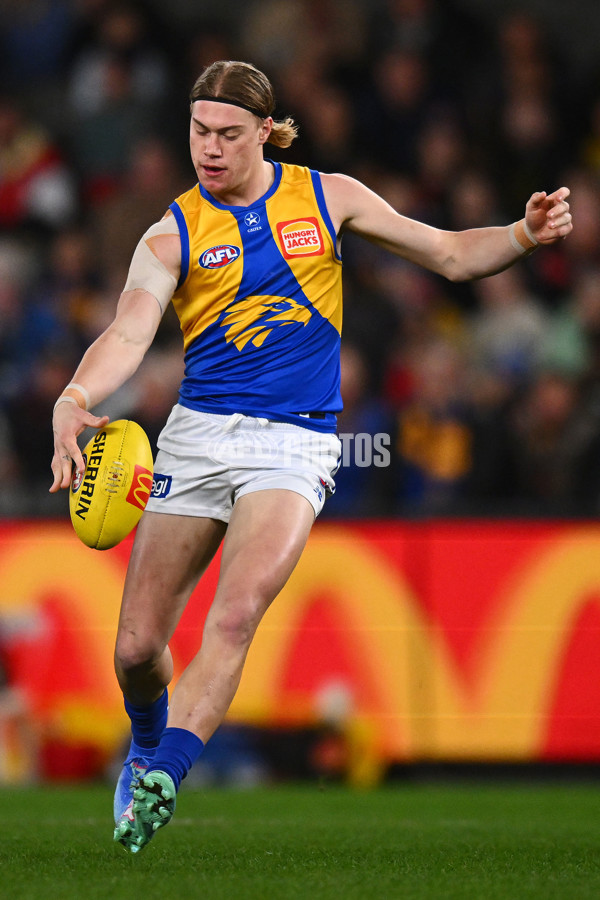 AFL 2024 Round 19 - St Kilda v West Coast - A-51969609