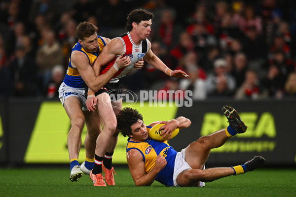 AFL 2024 Round 19 - St Kilda v West Coast - A-51972415