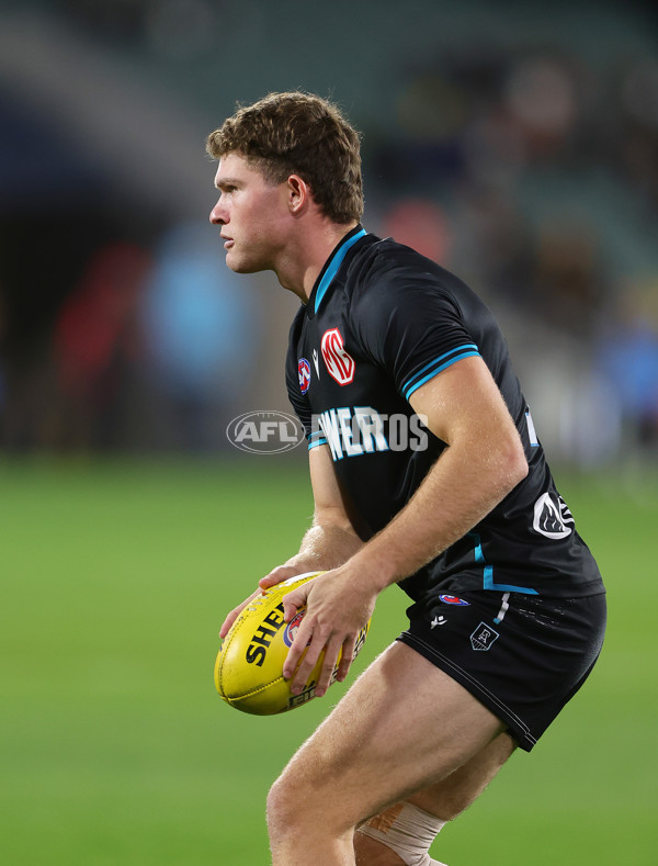 AFL 2024 Round 19 - Port Adelaide v Richmond - A-51989034