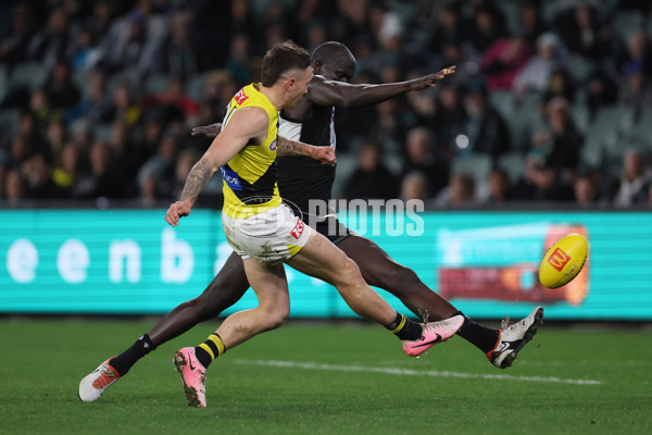 AFL 2024 Round 19 - Port Adelaide v Richmond - A-51996137