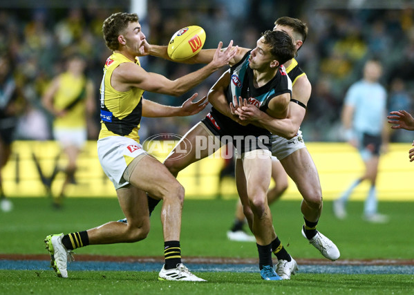 AFL 2024 Round 19 - Port Adelaide v Richmond - A-51996204