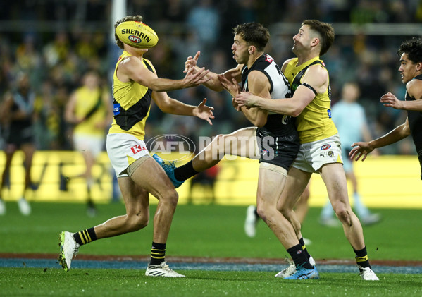 AFL 2024 Round 19 - Port Adelaide v Richmond - A-51996210