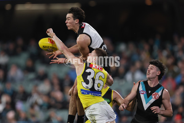 AFL 2024 Round 19 - Port Adelaide v Richmond - A-51998646