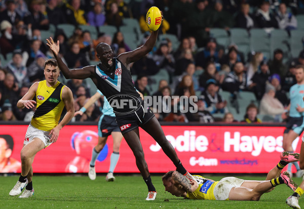 AFL 2024 Round 19 - Port Adelaide v Richmond - A-51998663