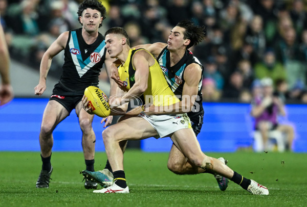 AFL 2024 Round 19 - Port Adelaide v Richmond - A-51998667