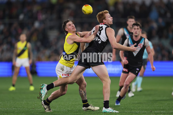 AFL 2024 Round 19 - Port Adelaide v Richmond - A-51998840