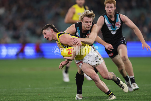 AFL 2024 Round 19 - Port Adelaide v Richmond - A-51998844