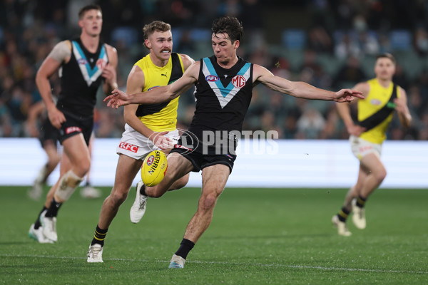 AFL 2024 Round 19 - Port Adelaide v Richmond - A-51998896