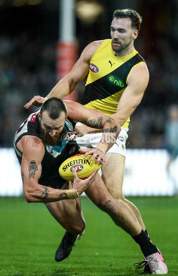 AFL 2024 Round 19 - Port Adelaide v Richmond - A-51998897