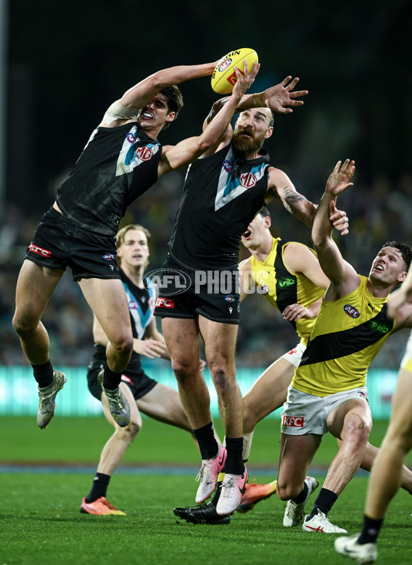 AFL 2024 Round 19 - Port Adelaide v Richmond - A-52001472