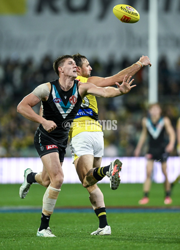 AFL 2024 Round 19 - Port Adelaide v Richmond - A-52001503