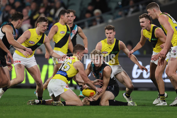 AFL 2024 Round 19 - Port Adelaide v Richmond - A-52001572