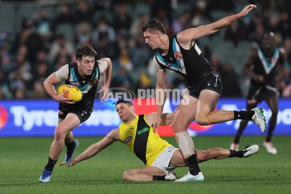 AFL 2024 Round 19 - Port Adelaide v Richmond - A-52001582