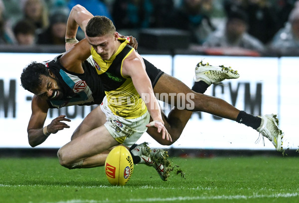 AFL 2024 Round 19 - Port Adelaide v Richmond - A-52004296