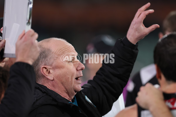 AFL 2024 Round 19 - Port Adelaide v Richmond - A-52004353