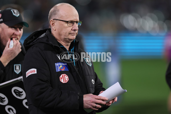 AFL 2024 Round 19 - Port Adelaide v Richmond - A-52004355