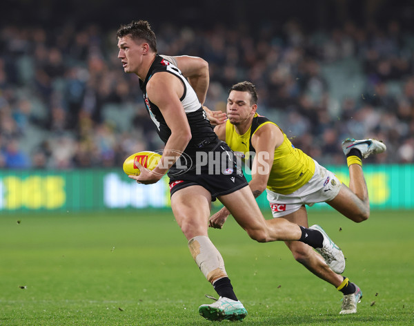 AFL 2024 Round 19 - Port Adelaide v Richmond - A-52004595