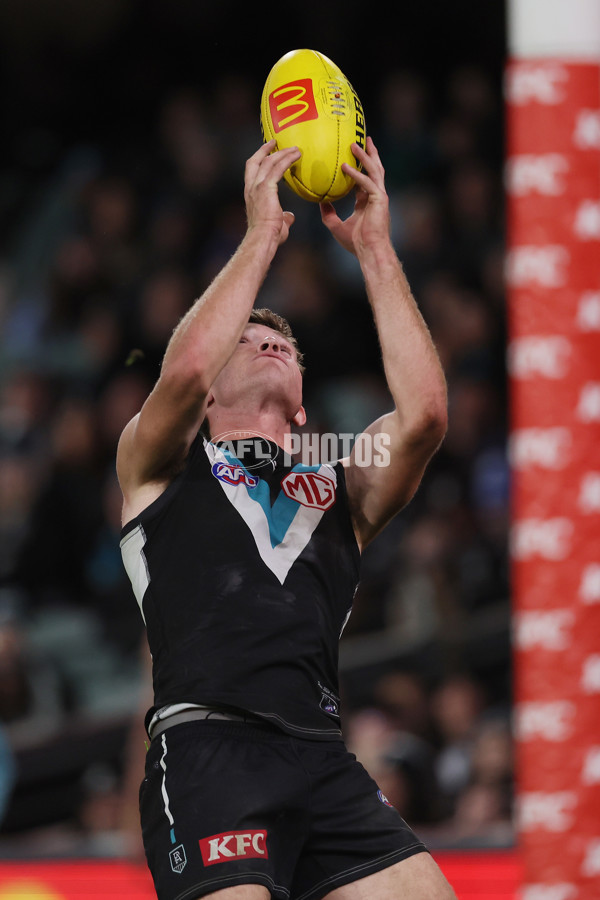 AFL 2024 Round 19 - Port Adelaide v Richmond - A-52007050