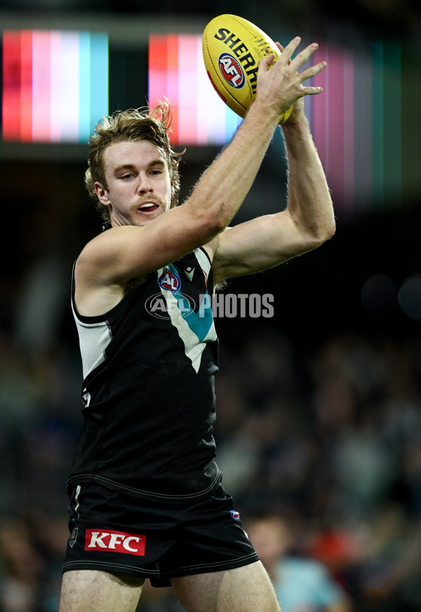 AFL 2024 Round 19 - Port Adelaide v Richmond - A-52007121