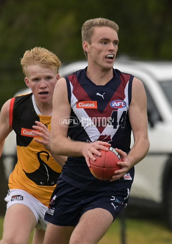 Coates League Boys 2024 - Sandringham v Dandenong - A-52007232