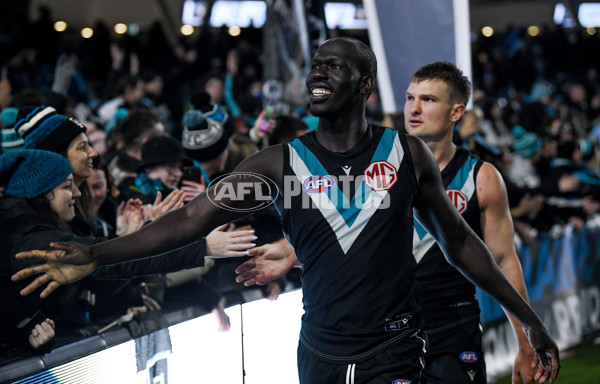 AFL 2024 Round 19 - Port Adelaide v Richmond - A-52010126