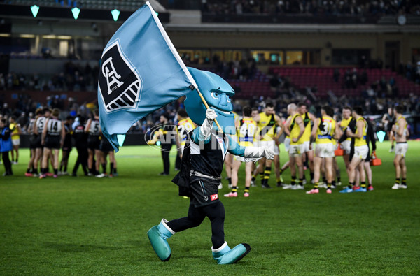 AFL 2024 Round 19 - Port Adelaide v Richmond - A-52010128