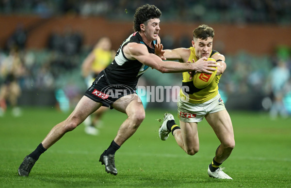 AFL 2024 Round 19 - Port Adelaide v Richmond - A-52010143