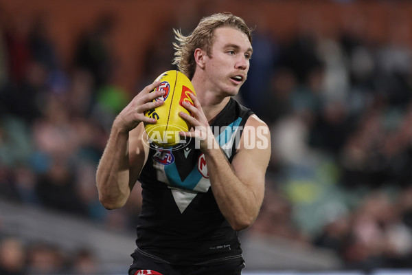 AFL 2024 Round 19 - Port Adelaide v Richmond - A-52010144