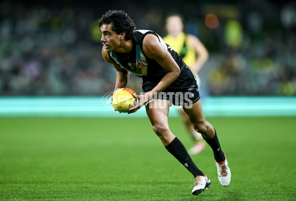 AFL 2024 Round 19 - Port Adelaide v Richmond - A-52012202
