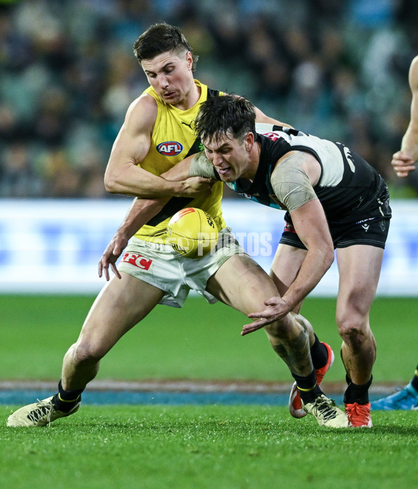 AFL 2024 Round 19 - Port Adelaide v Richmond - A-52012238