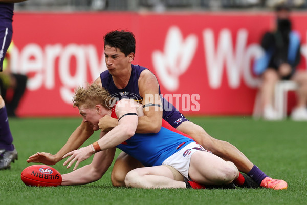 AFL 2024 Round 19 - Fremantle v Melbourne - A-52032298