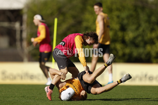 AFL 2023 Training - Hawthorn 230724 - A-52070102