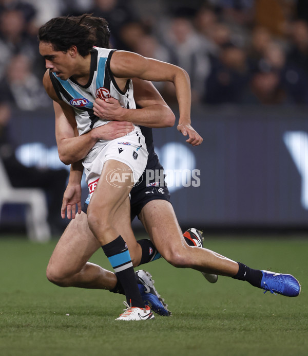 AFL 2024 Round 20 - Carlton v Port Adelaide - A-52160132