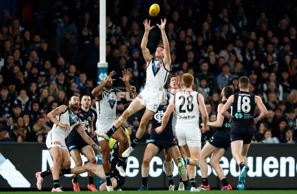 AFL 2024 Round 20 - Carlton v Port Adelaide - A-52161750