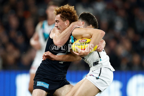 AFL 2024 Round 20 - Carlton v Port Adelaide - A-52163291