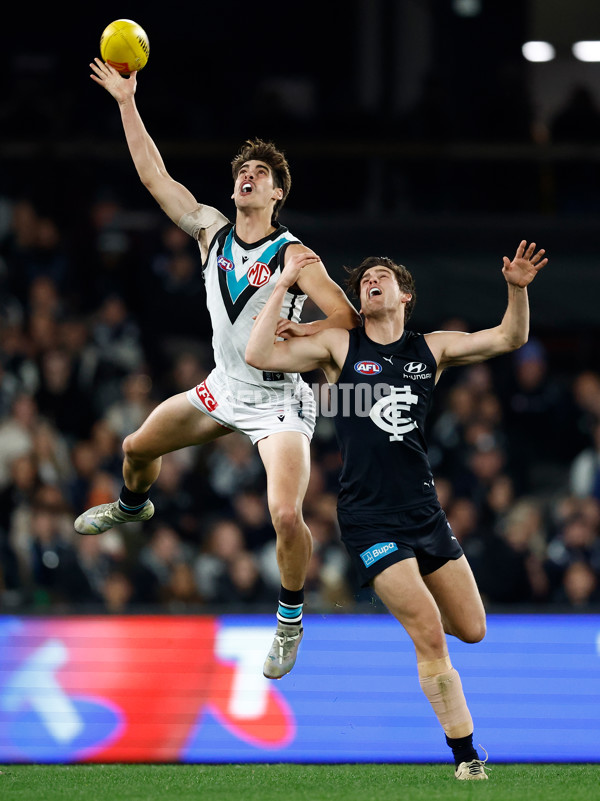 AFL 2024 Round 20 - Carlton v Port Adelaide - A-52163309
